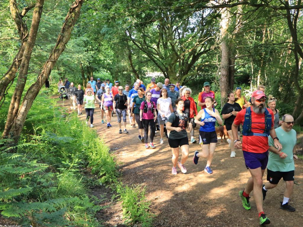 សកម្មភាពពិសេសដែលអ្នកមិនគួរអោយខកខាន