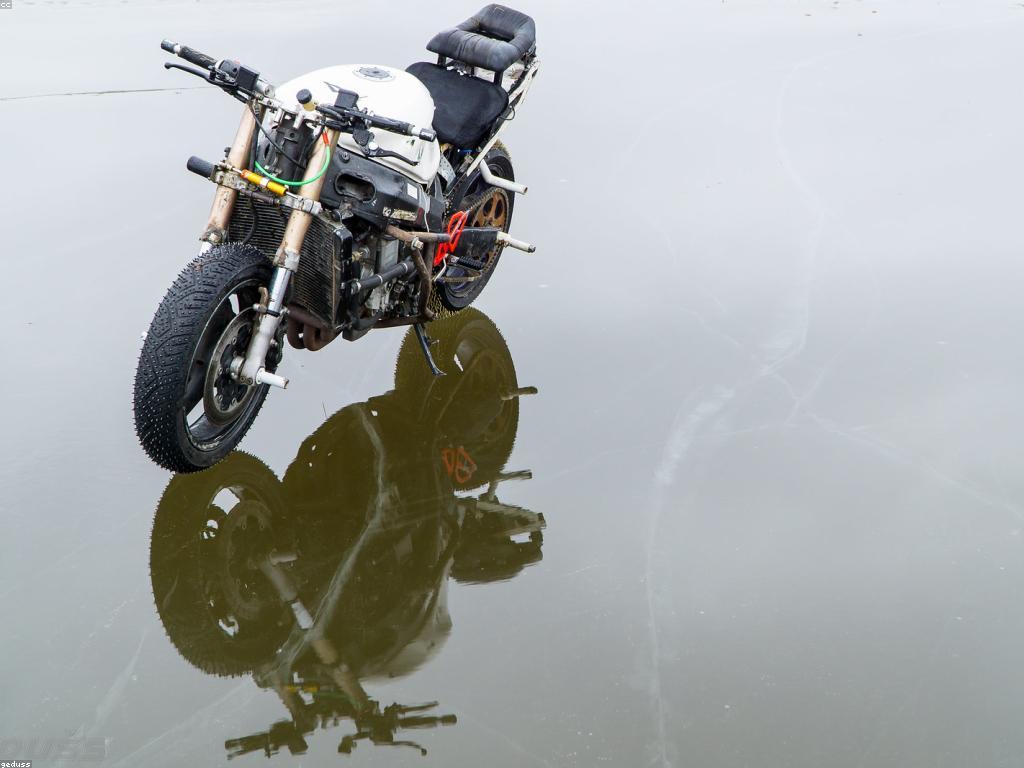 សកម្មភាពពិសេសនៅក្នុងជីវិតប្រចាំថ្ងៃ