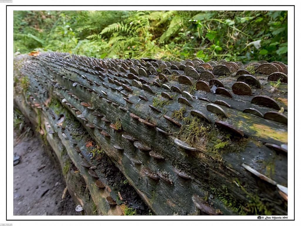 ការប្រាក់រង្វាន់: ការយល់ដឹងអំពីផលប្រយោជន៍ និងវិធីសាស្រ្ត