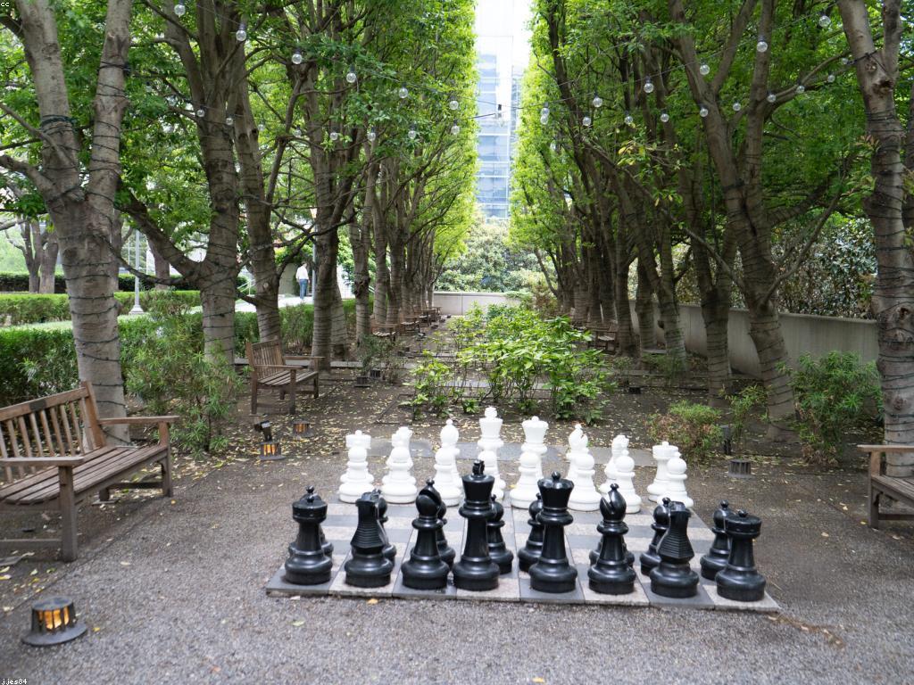 យុទ្ធសាស្ត្រដែលនាំទៅរកភាពជោគជ័យ