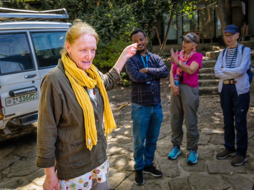 សកម្មភាពពិសេសសម្រាប់ការចូលរួមសង្គម