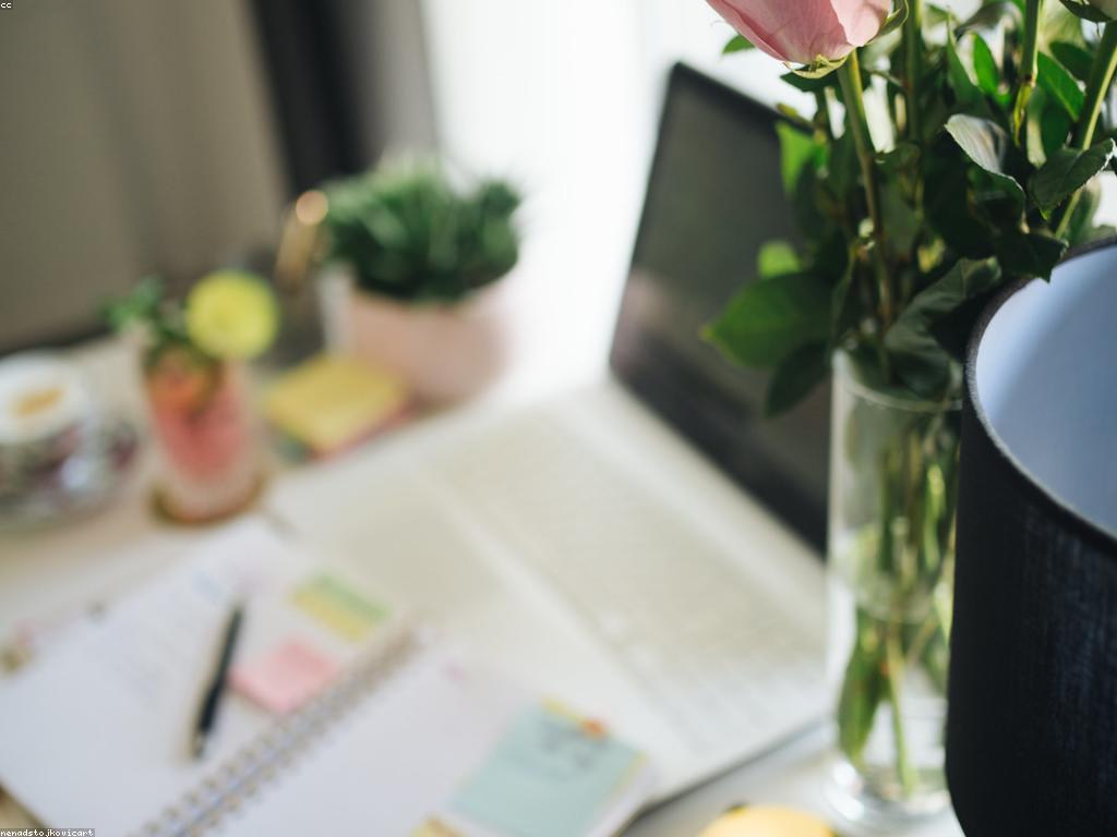 សកម្មភាពពិសេស: ការបង្កើនភាពច្នៃប្រឌិត និងការច្នៃប្រឌិតក្នុងការអភិវឌ្ឍន៍