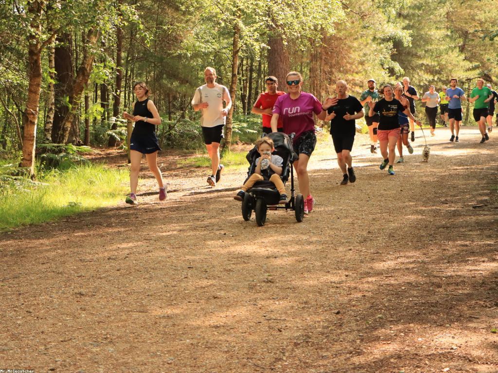 សកម្មភាពពិសេសសម្រាប់ការសម្រាប់ការបញ្ចូលសុខភាព