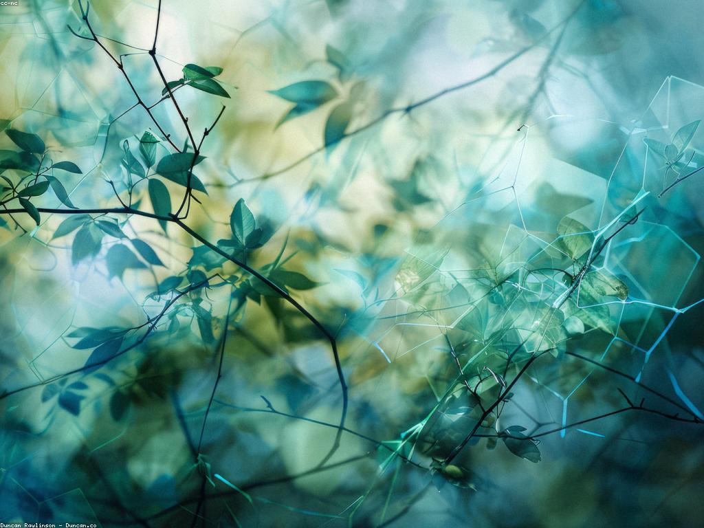 សកម្មភាពពិសេសដើម្បីការលូតលាស់ផ្ទាល់ខ្លួន